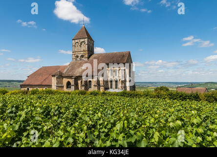 Church of Cuis in the Champagne village Cuis with green vineyards in the Champagne district Cotes de Blancs, France. Stock Photo