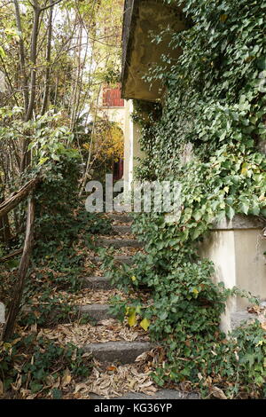 This picture shows a staircase of an abandoned building which is immersed into vegetation with the typical colors of autumn. Stock Photo