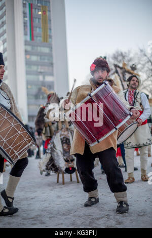 PERNIK, BULGARIA - JANUARY 27, 2017: Male drummer with beard in traditional kuker fur costume with brown hat is drumming as part of musical band perfo Stock Photo