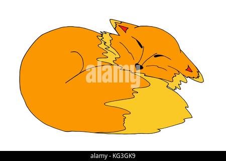 Sleeping yellow funny Fox, hand draw. Isolated on white. Vector illustration. Stock Vector
