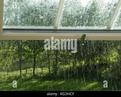 Looking through a window on summer rain. Stock Photo