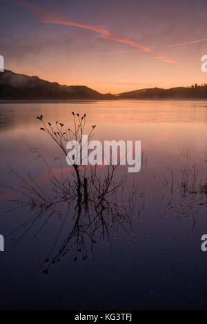 Daybreak over Loch Achray near Aberfoyle in the Trossachs, Scotland. Stock Photo