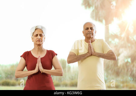 Senior couple doing yoga in park outdoors Stock Photo