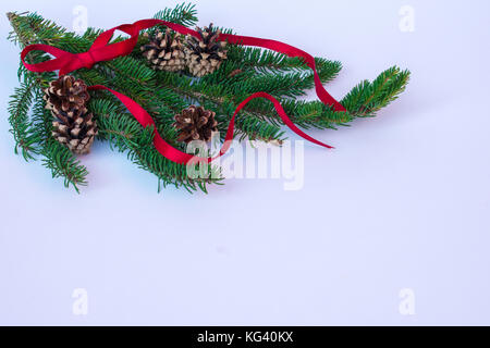 pine cones and ribbon on spruce boughs Stock Photo