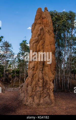 A cathedral termite mound in the Australian outback Stock Photo