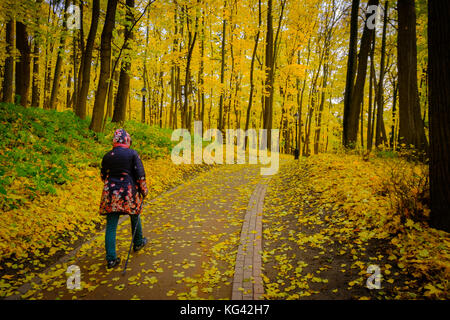 Mature woman walking Nordic Walk in a park Stock Photo - Alamy