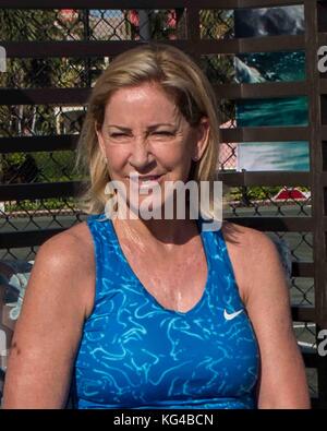 Boca Raton, Florida, USA. 3rd Nov, 2017. Tennis legend CHRIS EVERT, at the Boca Raton Resort & Club, prior to the 2017 Chris Evert/ Raymond James Pro Celebrity Tennis Classic. Chris Evert Charities has raised more than $23 million in an ongoing campaign for Florida's most at-risk children. Credit: Arnold Drapkin/ZUMA Wire/Alamy Live News Stock Photo