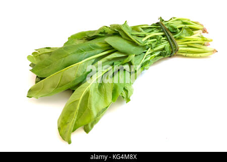 Spinach leaves on a white background Stock Photo