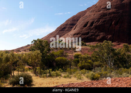 Close-up  view of Kata Tjuṯa, a group of large, domed rock formations in  Uluṟu-Kata Tjuṯa National Park, Northern Territory, Australia Stock Photo