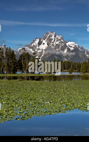 WY02553-00...WYOMING - The Teton Range rising above the still waters of Heron Pond located on the edge of Jackson Lake in Grand Teton National Park. Stock Photo