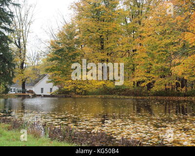 Jefferson township in Morris County, New Jersey and a fall scene of yellow leaves. Stock Photo