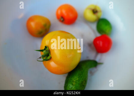 Small tomatoes and cucumbers. Vegetables on a white plate Stock Photo