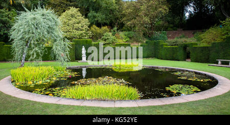 Lily pond clipped yew hedges and sculpture at Knightshayes Court near Tiverton in Devon UK Stock Photo