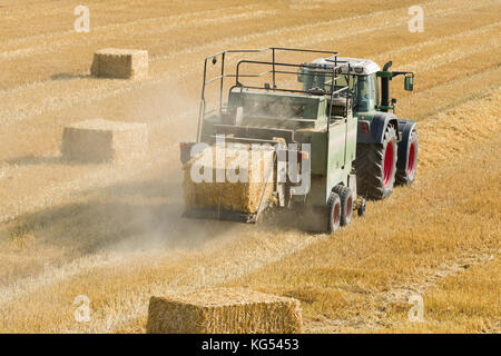 Tractor collects dry hay on the farm field and makes hay bales Stock Photo
