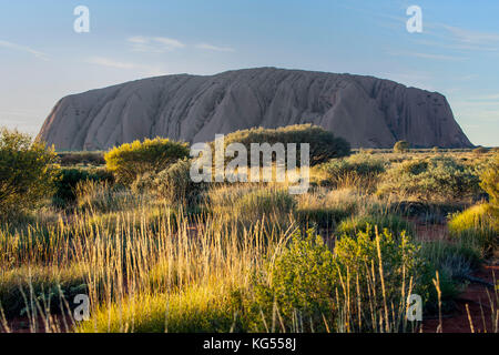 Ayres rock (Uluru) with foreground vegetation Stock Photo