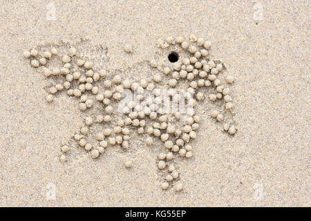 Crab patterns on beach Port Douglas Northern Territory Australia Stock Photo