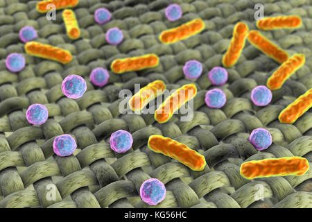 Bacteria on fabric surface, computer illustration. Stock Photo