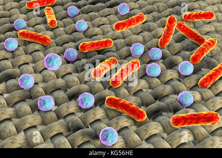 Bacteria on fabric surface, computer illustration. Stock Photo