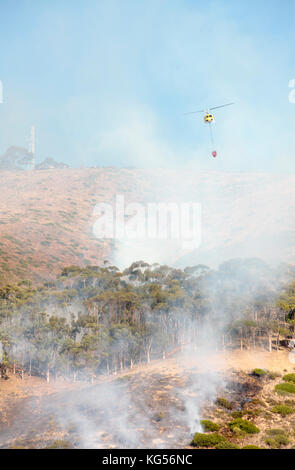 Helicopter dropping water on wild fire, Signal Hill, Cape Town, South Africa. Stock Photo