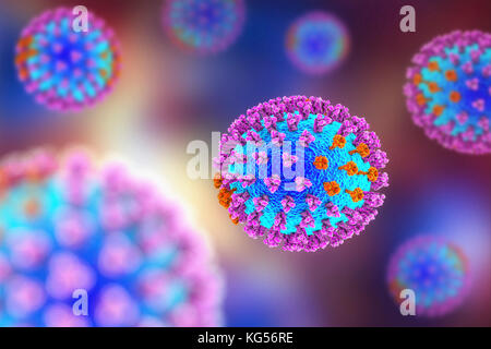 Flu viruses, computer illustration. Each virus consists of a core of RNA (ribonucleic acid) genetic material surrounded by a protein coat (blue). Embedded in the coat are surface proteins (spikes). There are two types of surface protein, hemagglutinin (purple) and neuraminidase (orange), and each exists in several subtypes. Both surface proteins are associated with the pathogenicity of a virus. Hemagglutinin binds to host cells, allowing the virus to enter them and replicate. Neuraminidase allows the new particles to exit the host after replication. Stock Photo