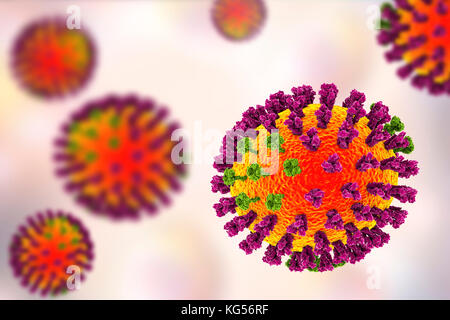 Flu viruses, computer illustration. Each virus consists of a core of RNA (ribonucleic acid) genetic material surrounded by a protein coat (orange). Embedded in the coat are surface proteins (spikes). There are two types of surface protein, hemagglutinin (purple) and neuraminidase (green), and each exists in several subtypes. Both surface proteins are associated with the pathogenicity of a virus. Hemagglutinin binds to host cells, allowing the virus to enter them and replicate. Neuraminidase allows the new particles to exit the host after replication. Stock Photo