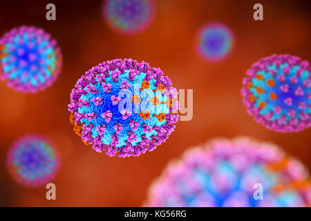 Flu viruses, computer illustration. Each virus consists of a core of RNA (ribonucleic acid) genetic material surrounded by a protein coat (blue). Embedded in the coat are surface proteins (spikes). There are two types of surface protein, hemagglutinin (purple) and neuraminidase (orange), and each exists in several subtypes. Both surface proteins are associated with the pathogenicity of a virus. Hemagglutinin binds to host cells, allowing the virus to enter them and replicate. Neuraminidase allows the new particles to exit the host after replication. Stock Photo