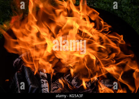 Red and orange flame of a bonfire and black pressed coal in brazier for barbecue on grass background Stock Photo