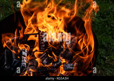Red and orange flame of a bonfire and black pressed coal in brazier for barbecue on grass background Stock Photo