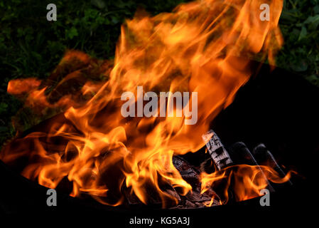 Red and orange flame of a bonfire and black pressed coal in brazier for barbecue on grass background Stock Photo