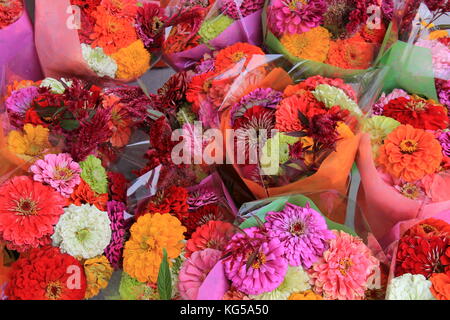 Several bouquets of flowers wrapped in cellophane at the local florist shop, ready for someone to buy for a gift for someone special. Stock Photo