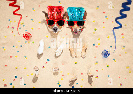 couple of two  dogs buried in the sand at the beach on happy new years eve , confetti and serpentine streamers all over the place Stock Photo