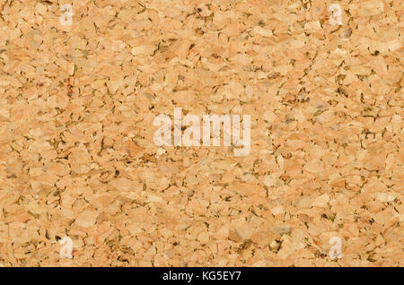 Cork sheet surface with fine texture, comprised of small grained cork oak, Quercus suber. Decorative panels and veneers, used as bulletin boards. Stock Photo