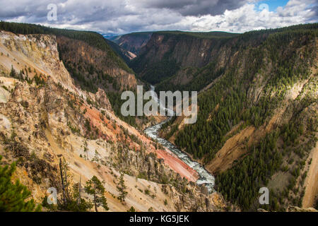 The colourful Grand canyon of the Yellowstone, Yellowstone National Park, Wyoming, USA Stock Photo