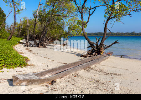 A dugout canoe on a beach near-coastal mangrove belt Stock Photo