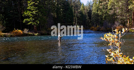 A flyfisherman casts a dry fly for rainbow trout in the Metolius river in the central Oregon Cascade Mountains. Man is not recognizable. Stock Photo