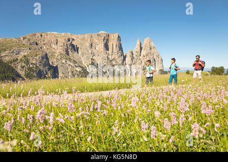 a family is walking on the Seiser Alm, (Alpe di Siusi), with beautiful flowers in foreground and the Schlern in the background Stock Photo