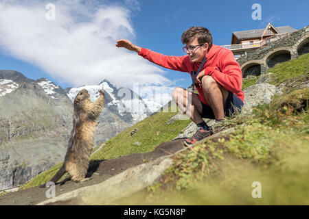 Man with an alpine marmot in front of Großglockner, High Tauern National Park, Carinthia, Austria