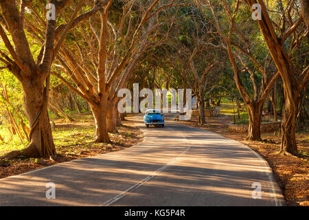 Havana, Cuba. Classic 1950's American car driving on a winding road. Stock Photo