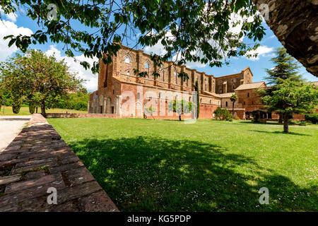 Abbey of San Galgano, Chiusdino village, Siena district, Tuscany, Italy Stock Photo