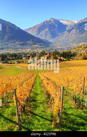 View of Ramez Castle surrounded by vineyards. Ramez Castle, Merano, Val Venosta, Alto Adige/Sudtirol, Italy, Europe Stock Photo