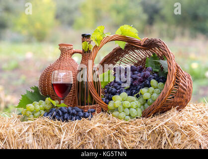 Tasty wine on wooden barrel on grape plantation background Stock Photo