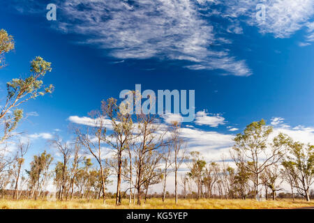 Outback road Stock Photo