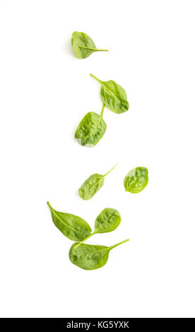 Fresh green baby spinach leaves, closeup on white background. Stock Photo