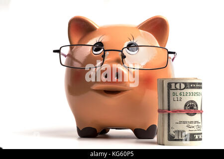 Piggy Bank With Dollars Roll  Isolated on White Background Stock Photo