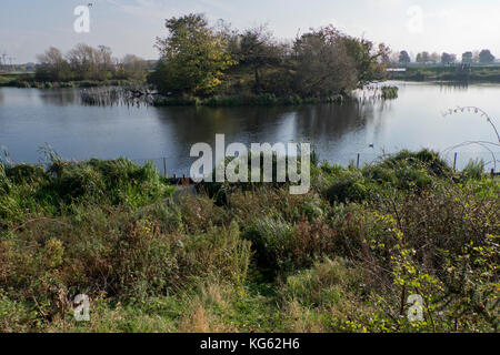 Walthamstow Wetlands nature reserve,London,UK Stock Photo