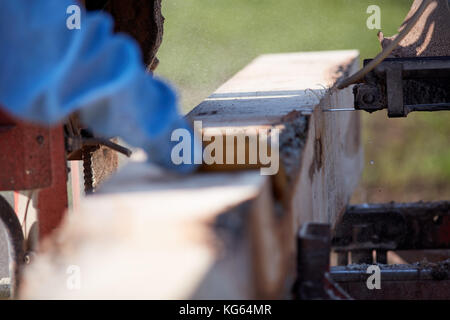 Man working on a portable saw milling lumber for raw planks for construction in a close up view of his hand guiding the wood Stock Photo