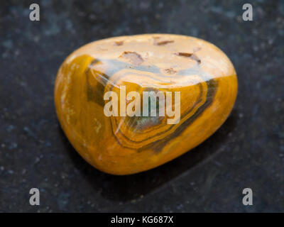 macro shooting of natural mineral rock specimen - tumbled Leopard Skin Jasper gemstone on dark granite background Stock Photo