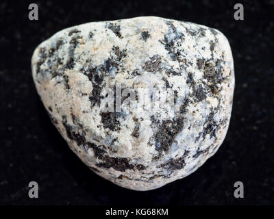 macro shooting of natural mineral rock specimen - pebble of Diorite stone on dark granite background Stock Photo