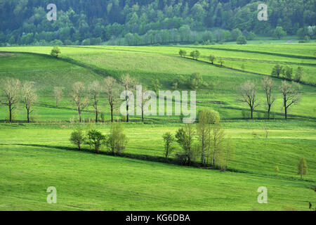 Dolny Slask, Silesia, Suche Mountains, Wałbrzych Mountains, Middle Sudetes, landscapes, natural, spring, Polska, Poland, Stock Photo