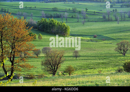 Dolny Slask, Silesia, Suche Mountains, Wałbrzych Mountains, Middle Sudetes, landscapes, natural, spring, Polska, Poland, Stock Photo